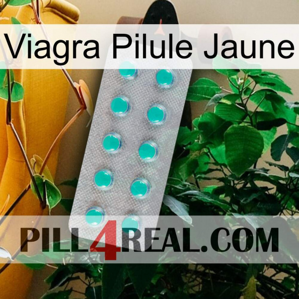 Viagra Yellow Pill 28.jpg
